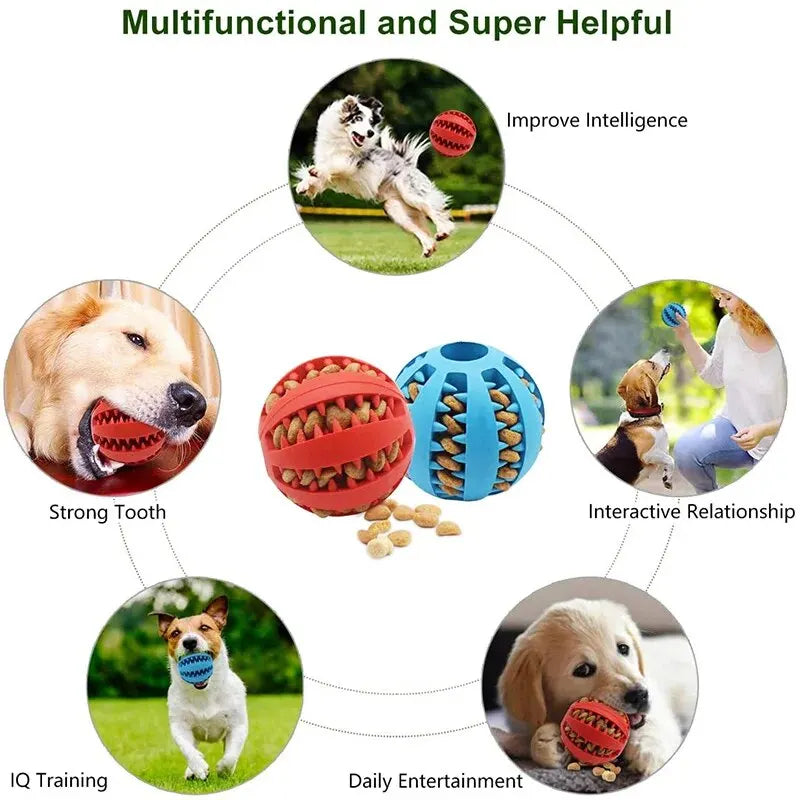 Hunde Kauball mit Futterfach – Bissfest & Zahnpflegend