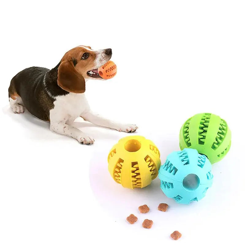 Hunde Kauball mit Futterfach – Bissfest & Zahnpflegend